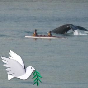 Meet your Posher, Leyan